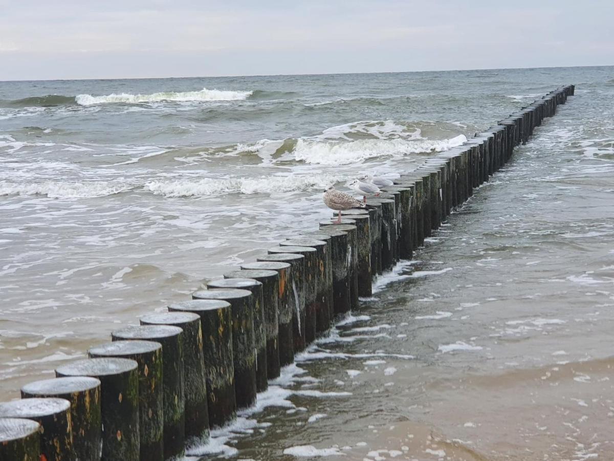 نيخوجة Baltic Cliff Apartamenty المظهر الخارجي الصورة